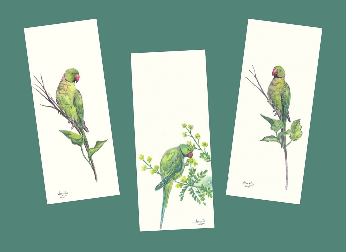 Shweta Mahajan | Original  Watercolour | Rose Ringed Parakeets | 20 X 15Cm | Artwork For Sale On Artfinder