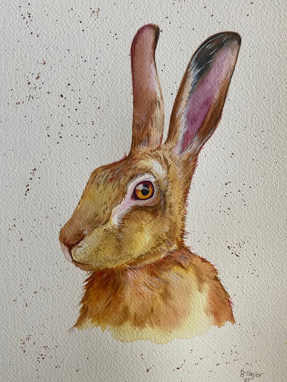 Hare watercolour painting