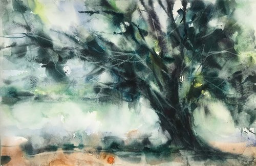 Old tree.  one of a kind, original watercolor by Galina Poloz