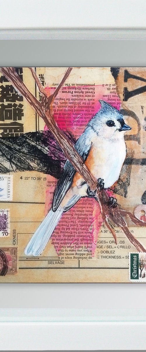 Tufted titmouse - Ornithology #8 - Framed ready to hang original painting by Carolynne Coulson