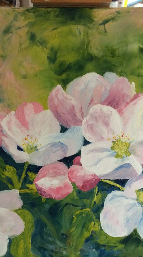 Apple Blossoms 2 by Silvie Wright