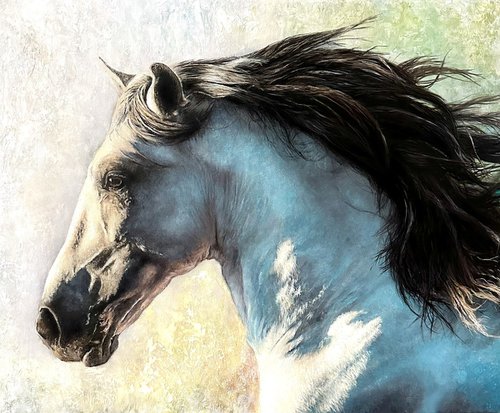 Runaway Horse by Paul Hardern