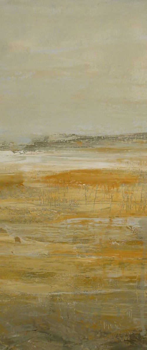 Quicksands by Fiona Philipps