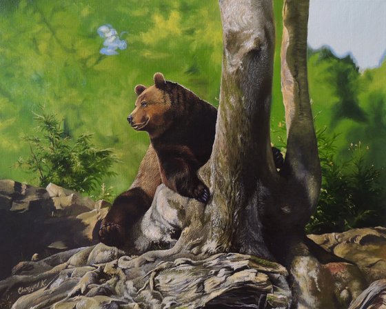 Bear in forest