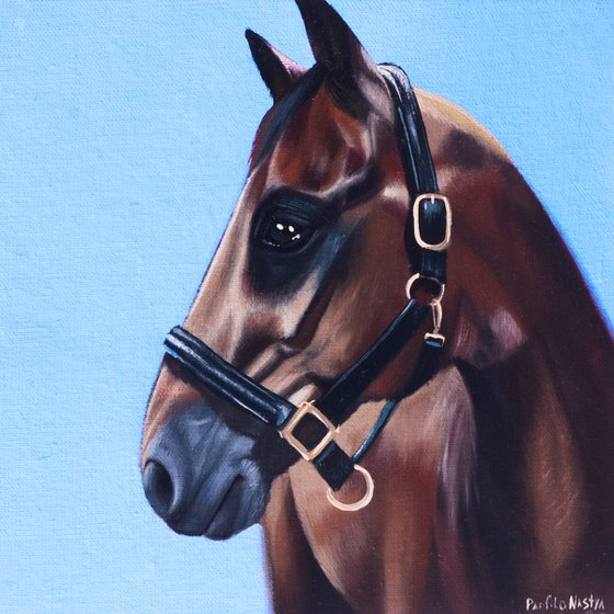 Horse Portrait 96