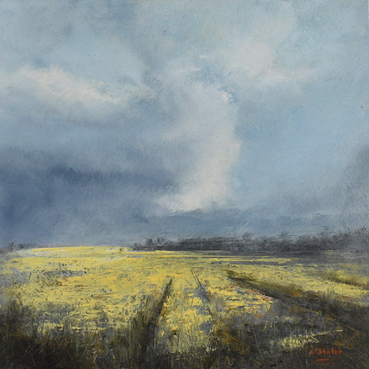 Expressive Landscape Oil Painting By Colin Slater, 8 X 8, Wheat Field, Original Artwork