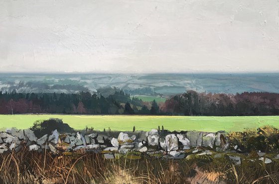 Fields of Wicklow
