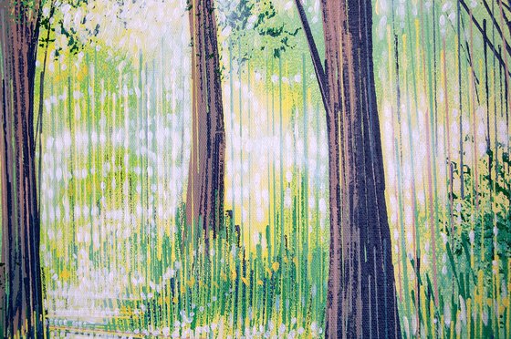 Summer Forest Path