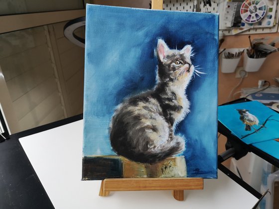 The Kitten - Original Oil Painting