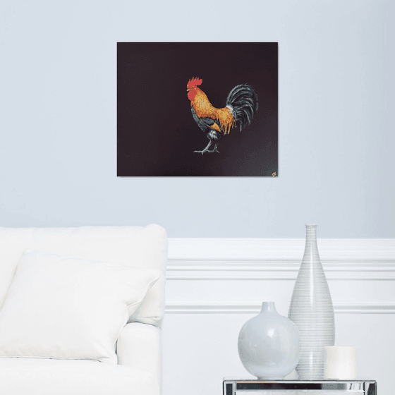 Lonely cock
