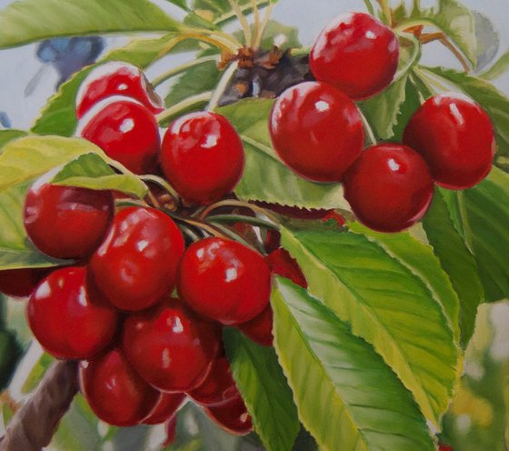 Cherries II