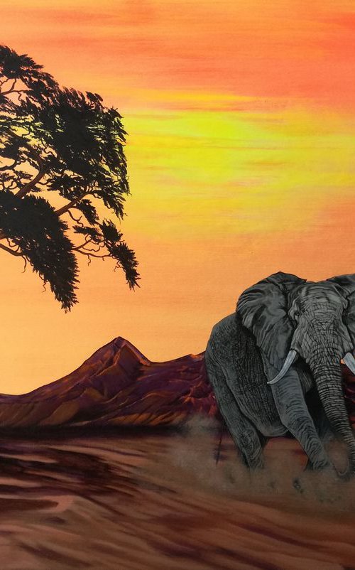 African Elephant. by Zoe Adams