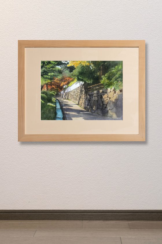 Sunlight through the Trees in Sakamoto, Shiga