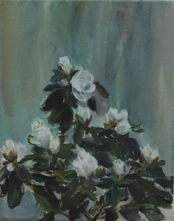 Azalea, 2013, acrylic on canvas, 25 x 20 cm