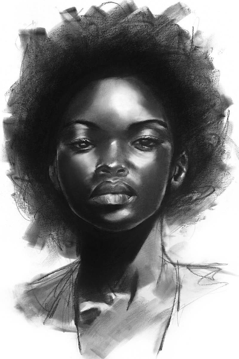 Illustrative Charcoal Drawing , Sovereign By Denny Stoekenbroek, 13 X 20, Artwork For Sale On Artfinder