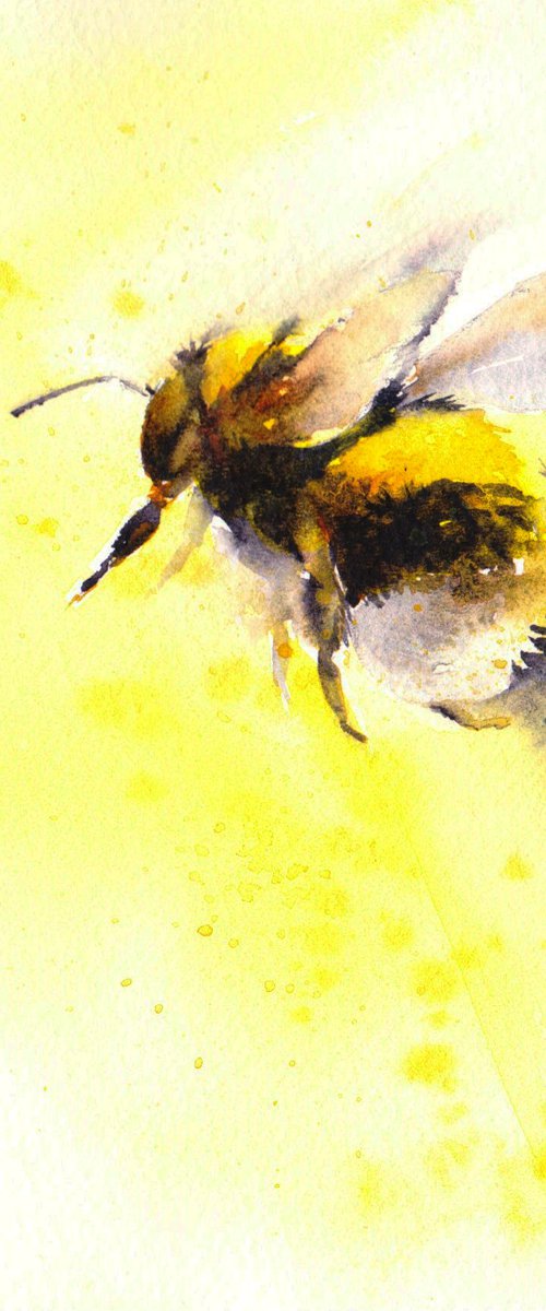 Bumble bee in golden mist II by Anjana Cawdell