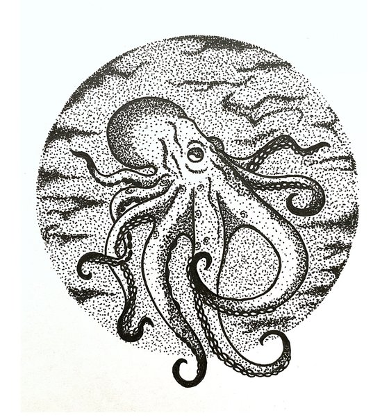 Octopus