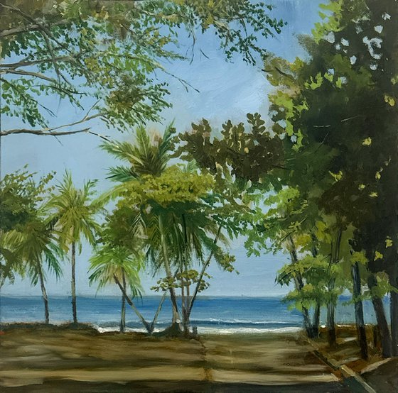 First Glimpse at the Sea