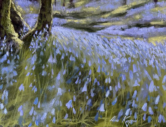 Bluebell wood