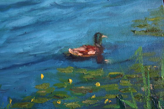 Pond ... Water Lilies ... Duck ... /  ORIGINAL PAINTING