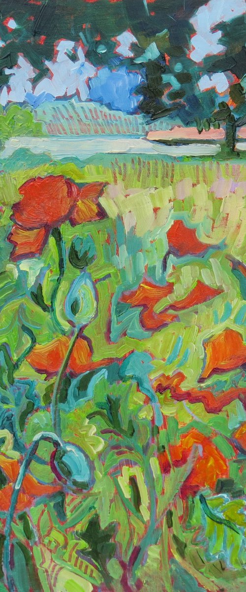 Tangled Poppies by Mary Kemp
