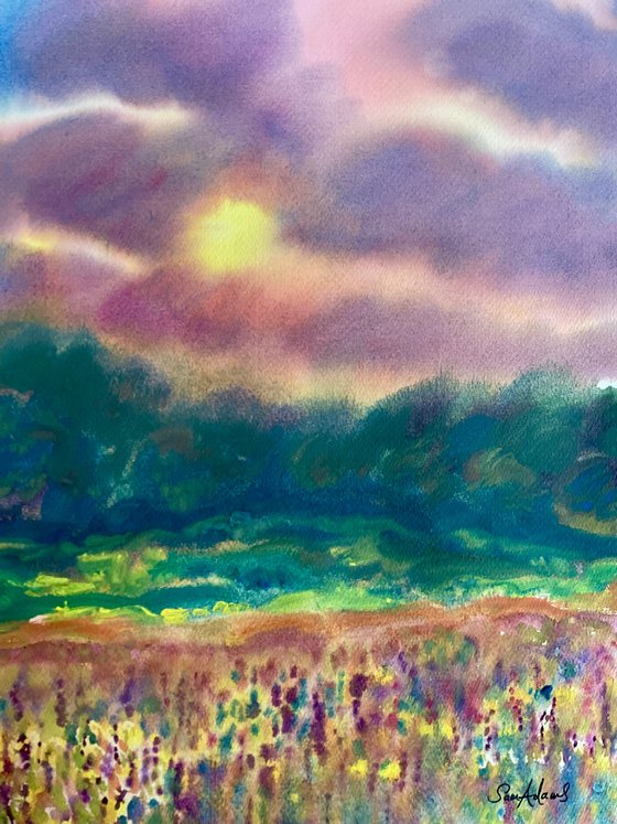 Millook Meadow at Sunset