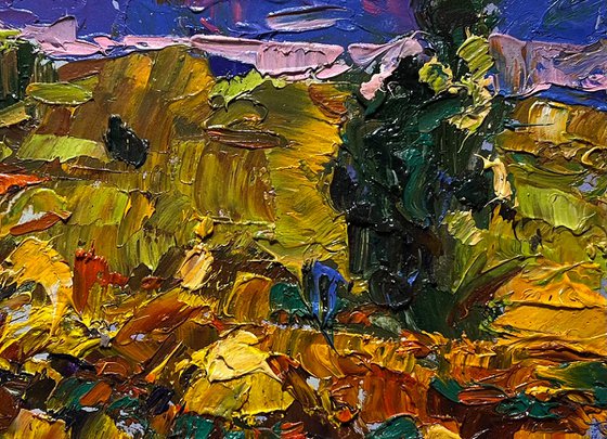 The edge of a plowed field