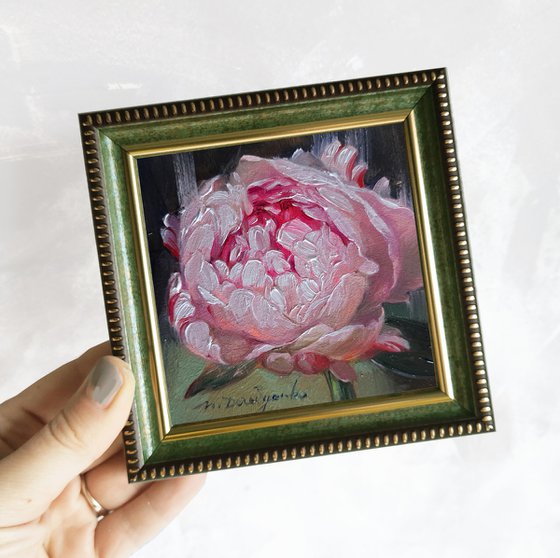 Small oil painting original framed art pink peony flower 4x4 in frame