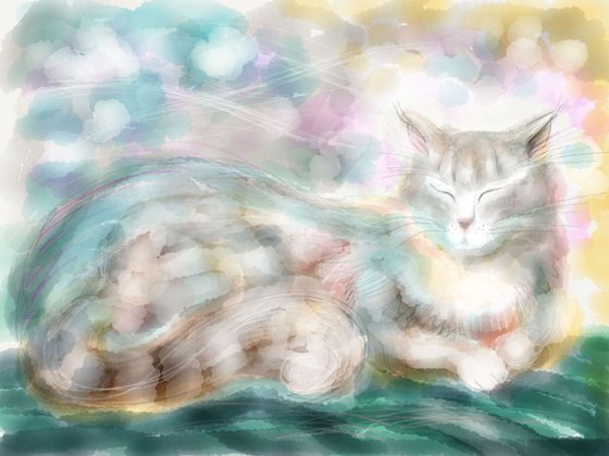 Cat - Colour Daydream