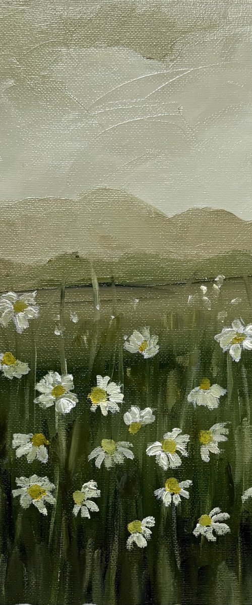 Wild daisies meadow on ochres horizon by Daniela Nocito
