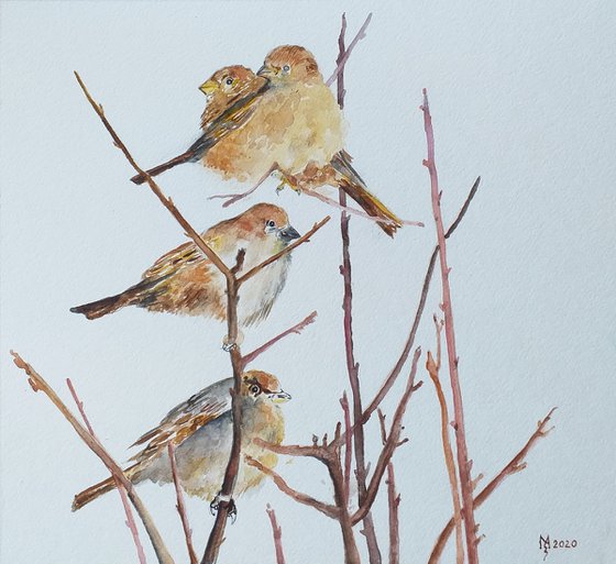 SPARROWS 32.5 x 30 cm