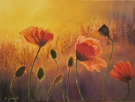 Evening Poppies