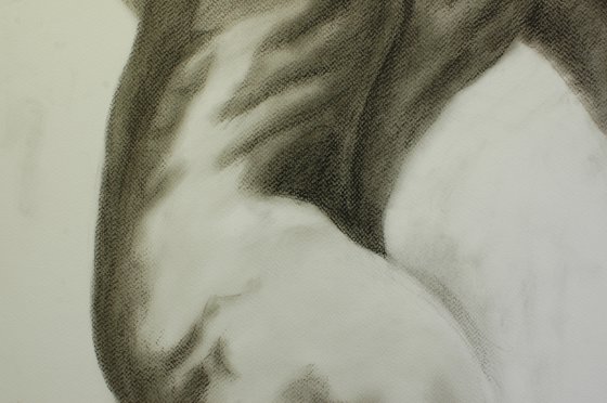 Nude study. Charcoal drawing.