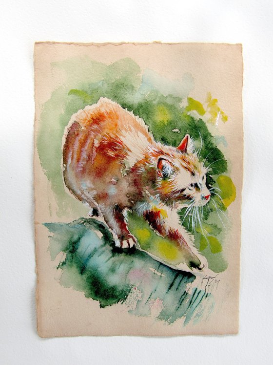 Hunting cat