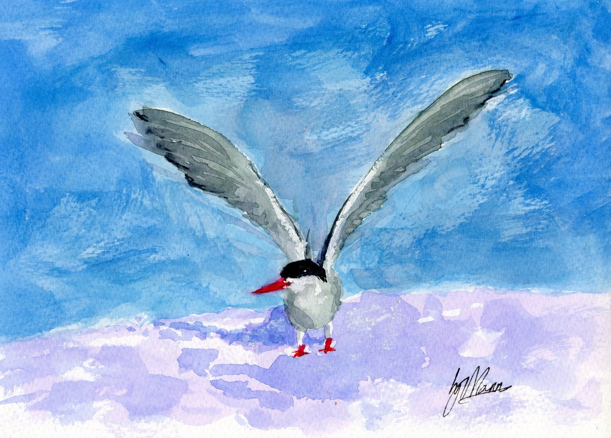 Arctic Tern in the Snow by Lisa Mann