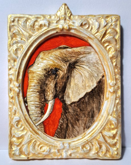 african elephant