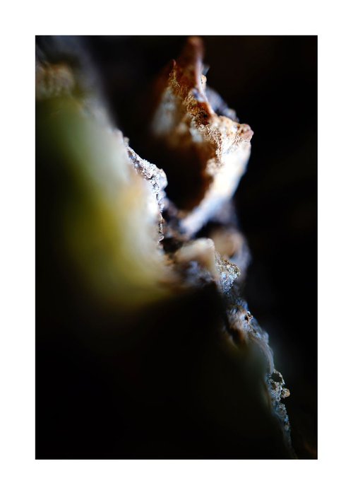 Abstract Nature Photography 84 by Richard Vloemans
