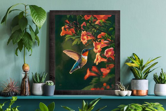 Hummingbird with trumpet vine