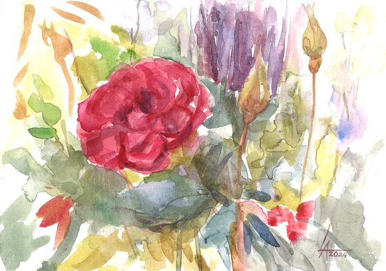 Roses in the garden