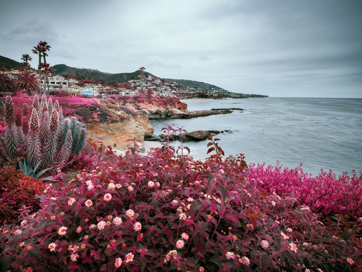 LAGUNA BEACH II by Harv Greenberg