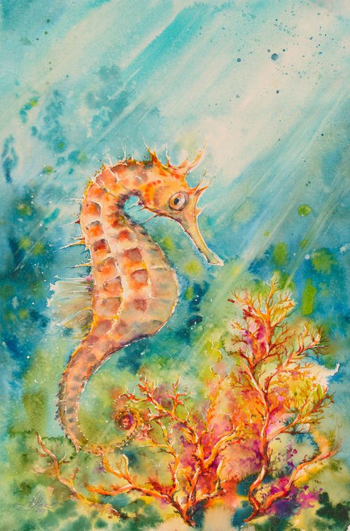 Seahorse by Eve Mazur