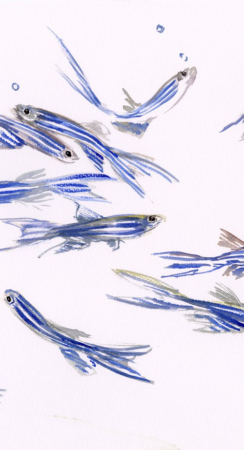 Danio, Zebrafish Aquarium art by Suren Nersisyan