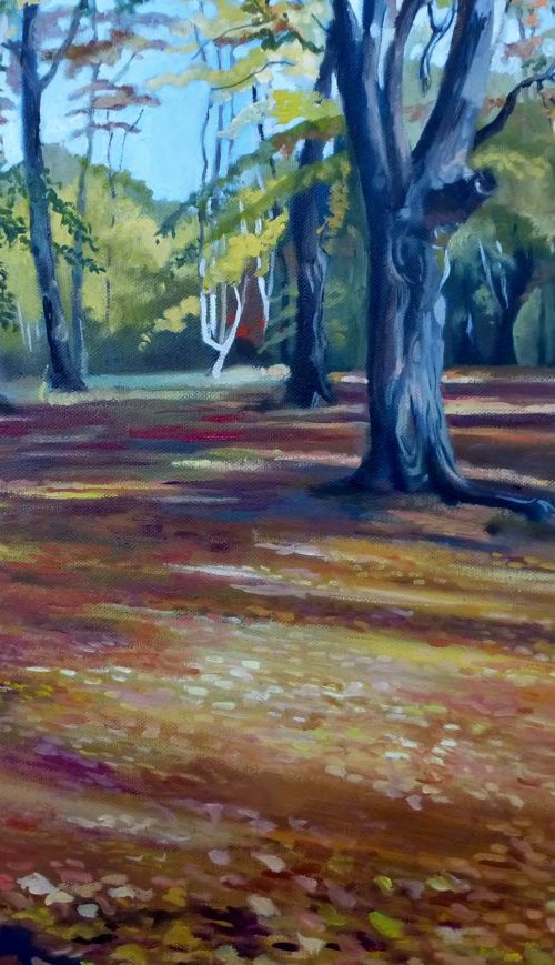 Autumn Shadows by Alison  Chaplin