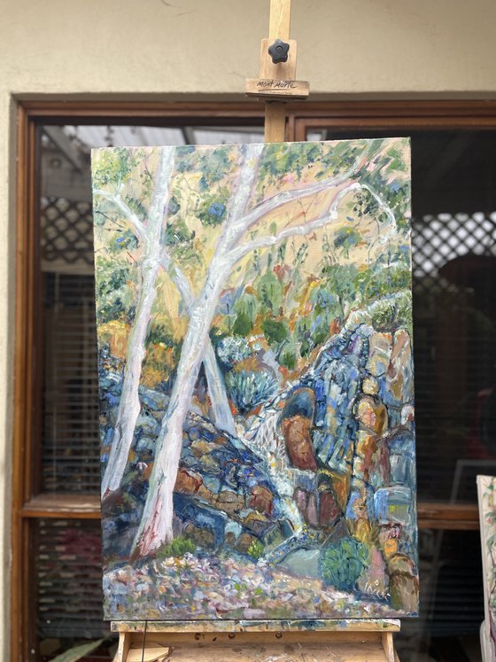 WHITE GUM TREES