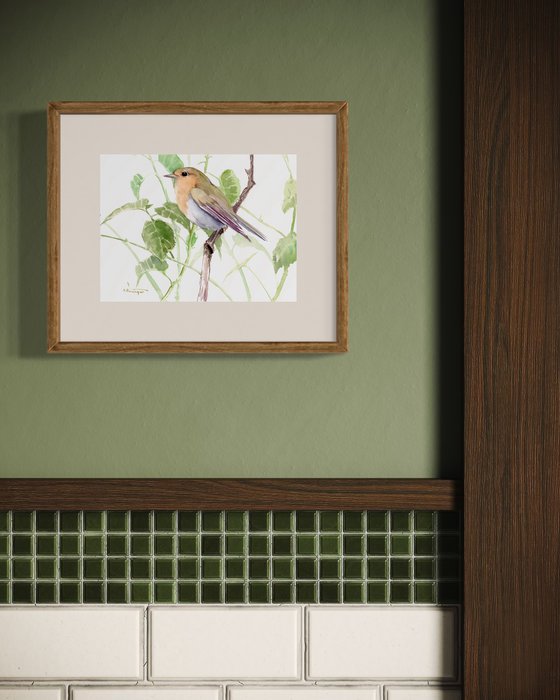 Robin Bird