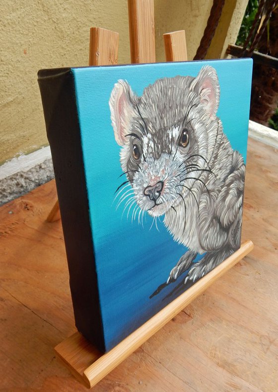 Ferret Pet Rodent Original Art Painting-8 x 8 Inches Deep Set Stretched Canvas-Carla Smale