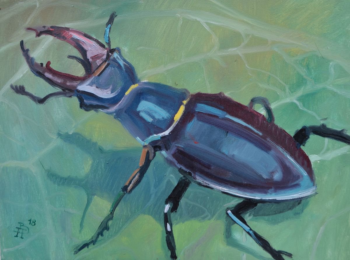 Beetle by Vitalii Panasiuk