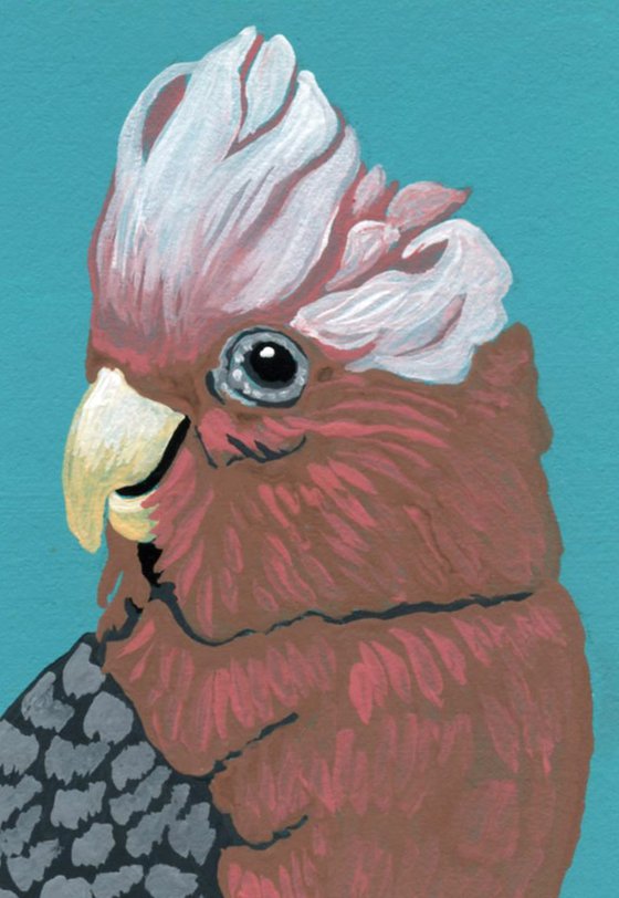 ACEO ATC Original Miniature Painting Australian Parrot Galah Cockatoo Pet Bird Art-Carla Smale