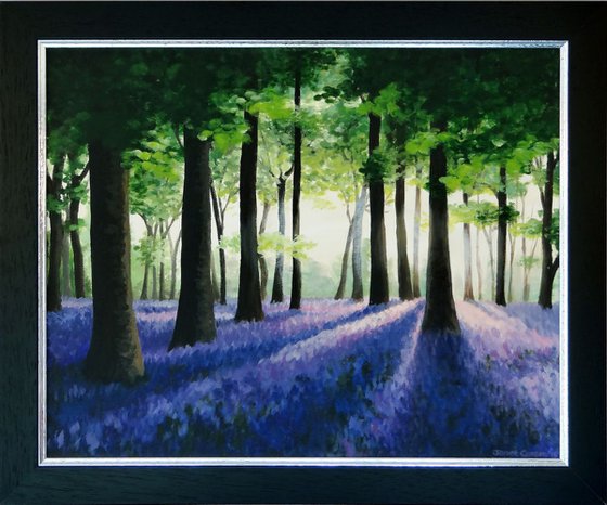 Bluebell Wood