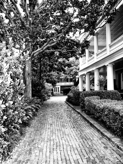 TAKE A WALK ON SERENITY Charleston SC by William Dey